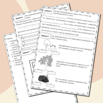 Рабочий лист по окружающему миру 2 класс 