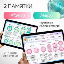 Митоз и мейоз. Деление клетки. Сравнение митоза и мейоза, биологическая роль. Памятка