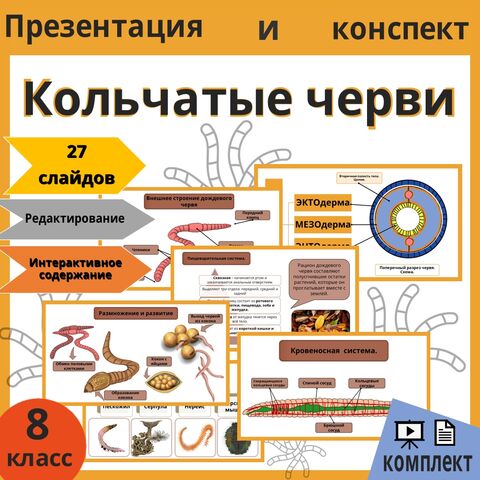 Презентация и конспект на тему: «Кольчатые черви». Комплект к уроку по биологии 8 класса.
