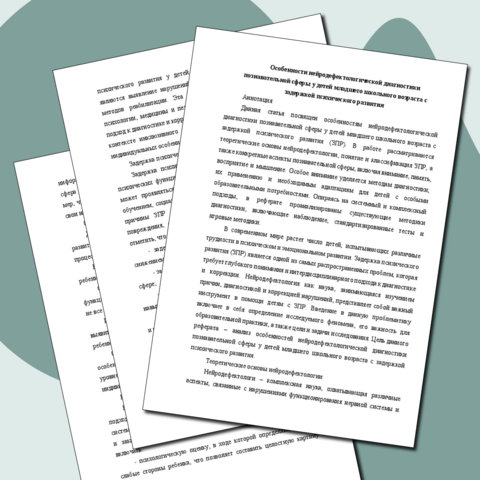 Особенности нейродефектологической диагностики познавательной сферы у детей младшего школьного возраста с задержкой психического развития