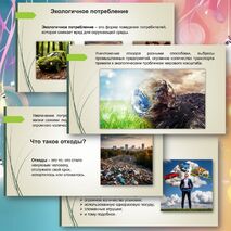 Презентация по теме «Экологичное потребление»