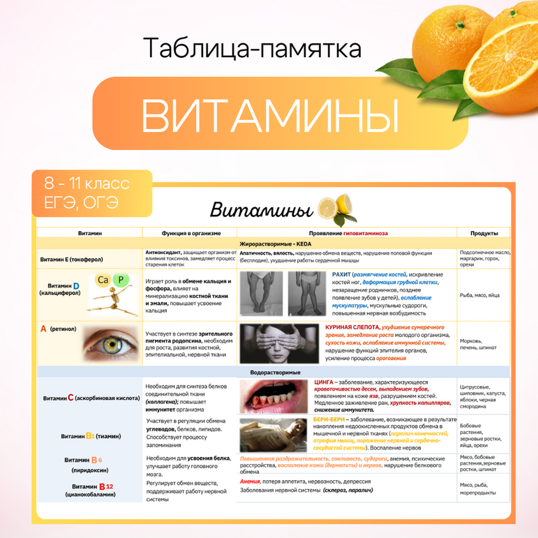 Витамины. Таблица-памятка 8-11 класс