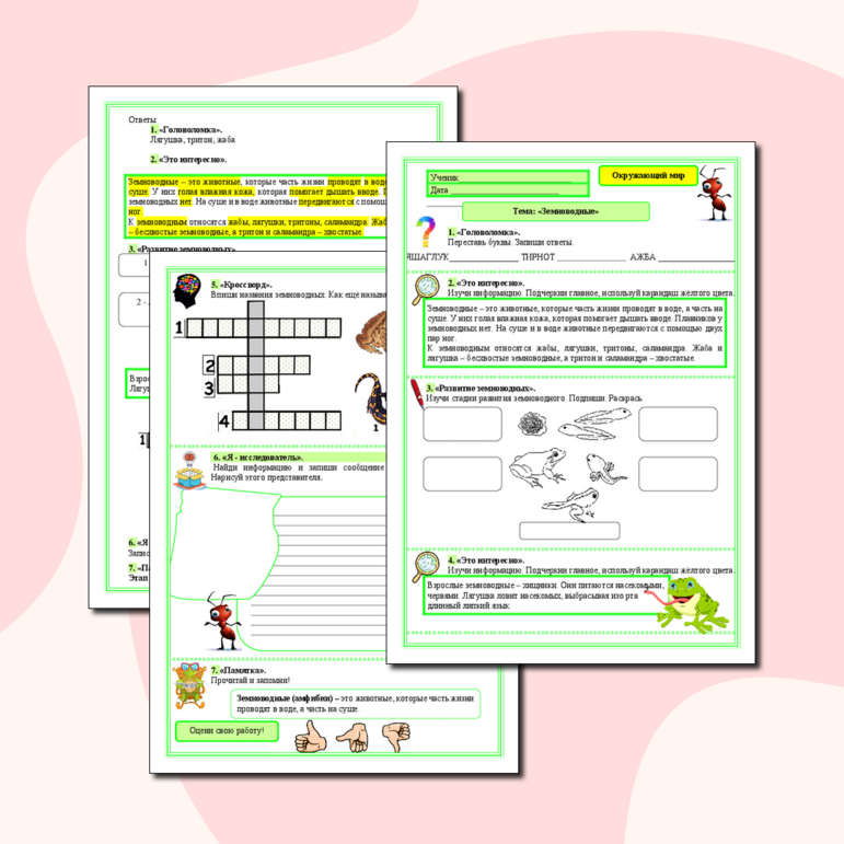 Рабочий лист к уроку окружающего мира по теме «Земноводные», (2 класс ...