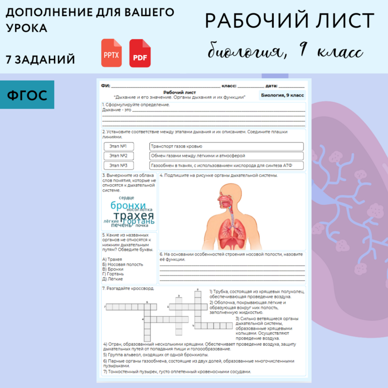 Рабочий лист "Питание и его значение. Органы пищеварения и их функции ...