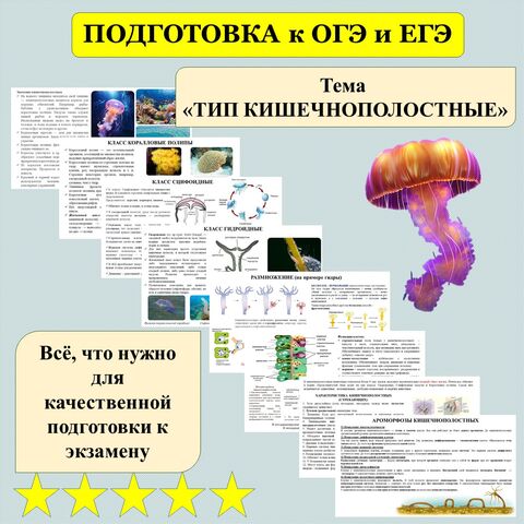 Презентация 