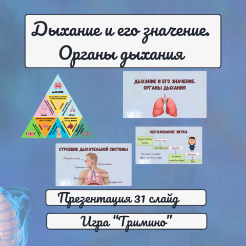 Дыхание и его значение. Органы дыхания (Презентация + игра 