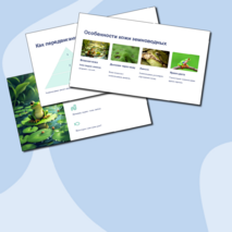 Презентация 