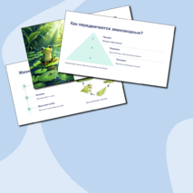 Презентация 