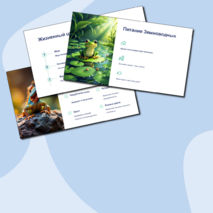 Презентация 