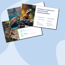 Презентация 