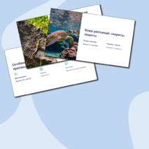 Презентация 