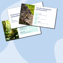 Презентация 