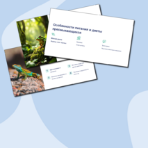 Презентация 