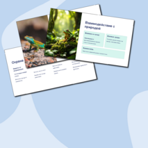 Презентация 