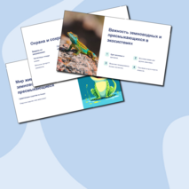 Презентация 