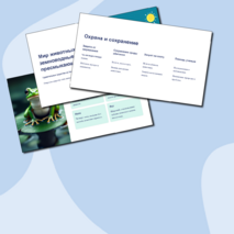 Презентация 