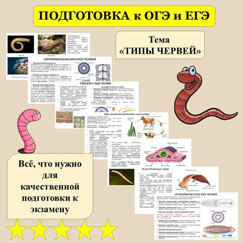 Презентация 