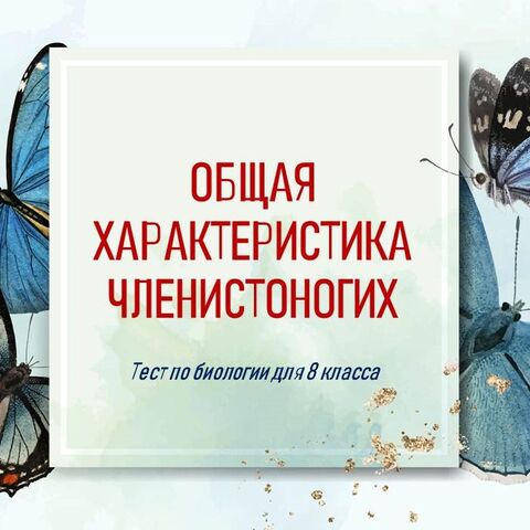 Тест по теме урока 