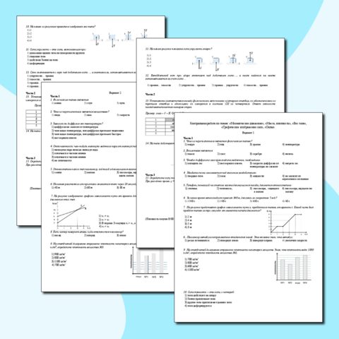 Рабочий лист Контрольная работа по темам: «Механическое движение», «Масса, плотность», «Вес тела», «Графическое изображение сил», «Силы».