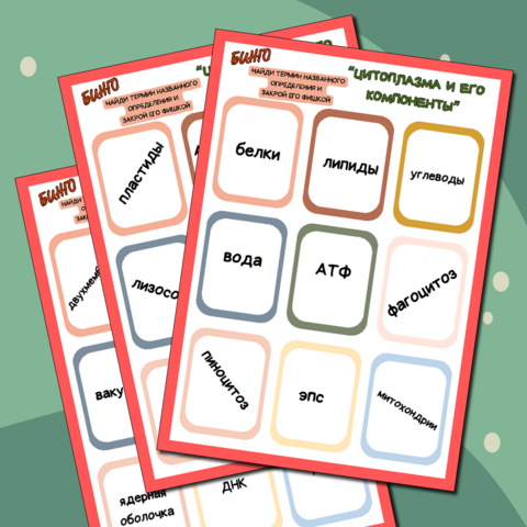 Игра Бинго "Цитоплазма и его компоненты" (углубленный уровень, для учащихся 10-11 классов)