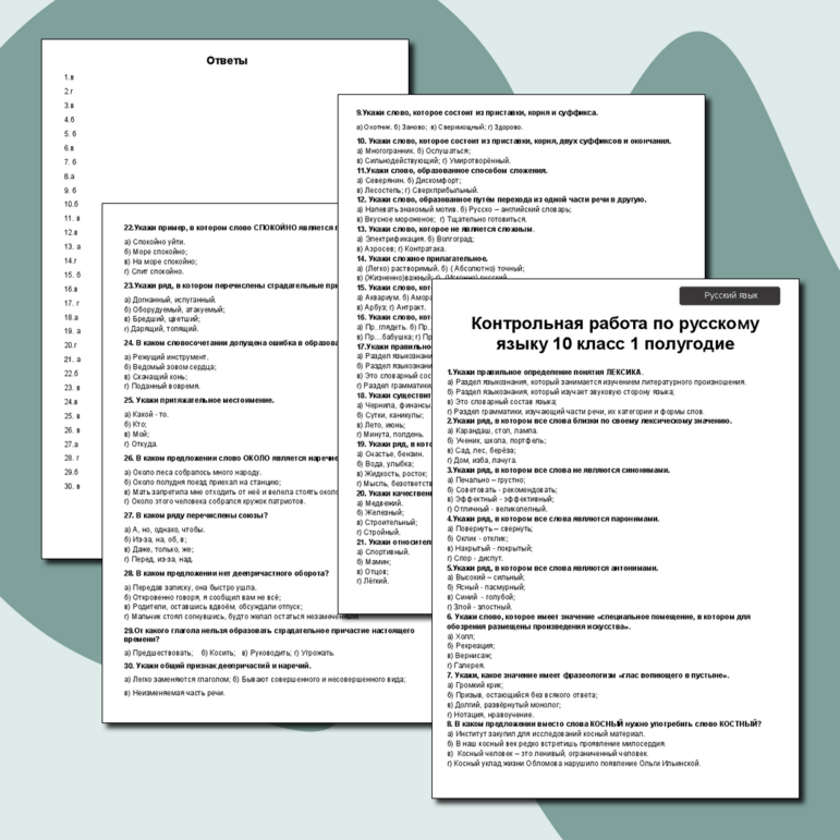 Контрольная работа по русскому языку в 10 классе за 1 полугодие