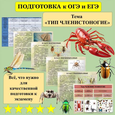 Презентация 