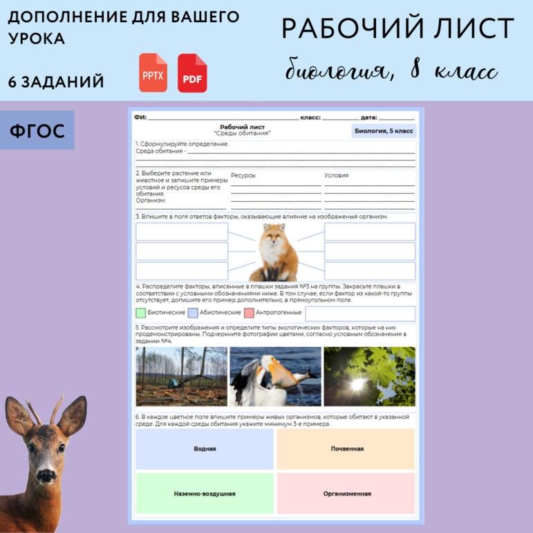 Рабочий лист 