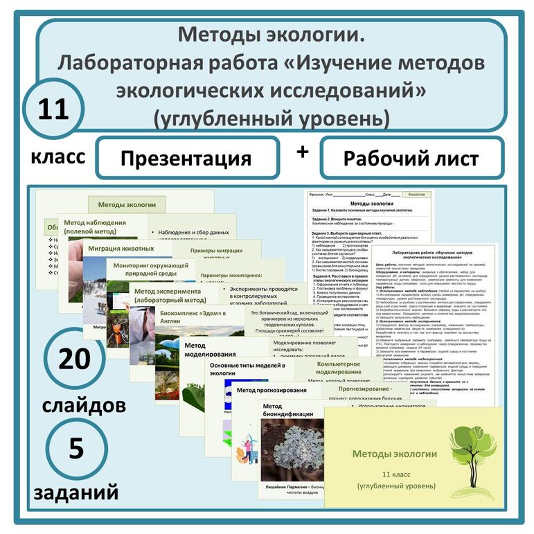 Комплект по биологии (презентация + лабораторная работа + рабочий лист ...