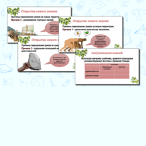 Презентация 