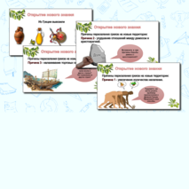 Презентация 