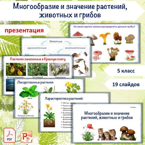 Источники информации биология 5 класс таблица. Источники информации биология 5 класс таблица