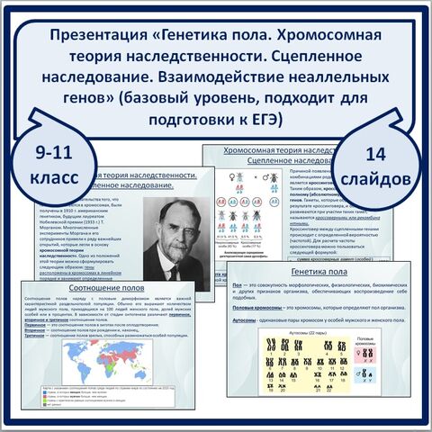 Презентация 