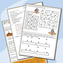 Рабочий лист по функциональной грамотности 