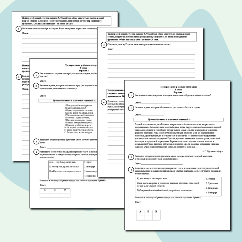 ВПР. Литература. 5 класс. Тренировочные задания. 2 варианта