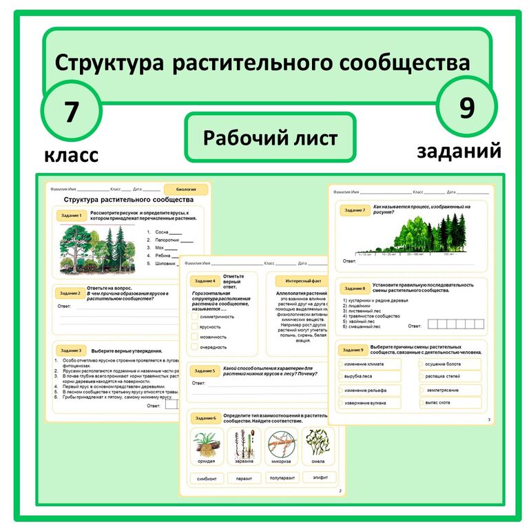 Составить структуру растительного сообщества