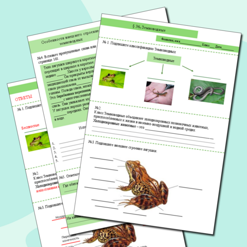 Рабочая программа по биологии 10 класс на 2019-2020 уч. год (А.А ...