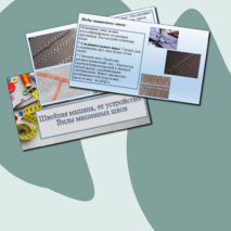 Презентация к уроку Труд(технология) на тему :