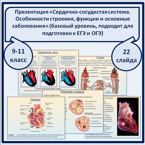 Презентация 