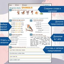 Контрольная работа по теме My animals для Spotlight 2 module 3 my ...