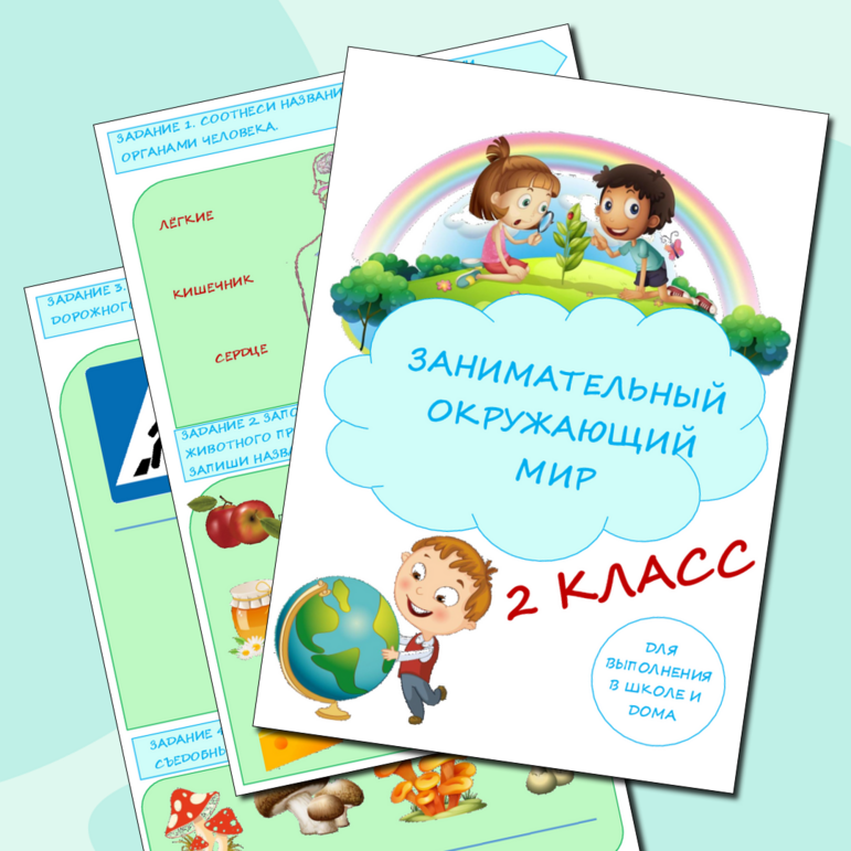 Комплекс заданий "Занимательный окружающий мир для 2 класса"