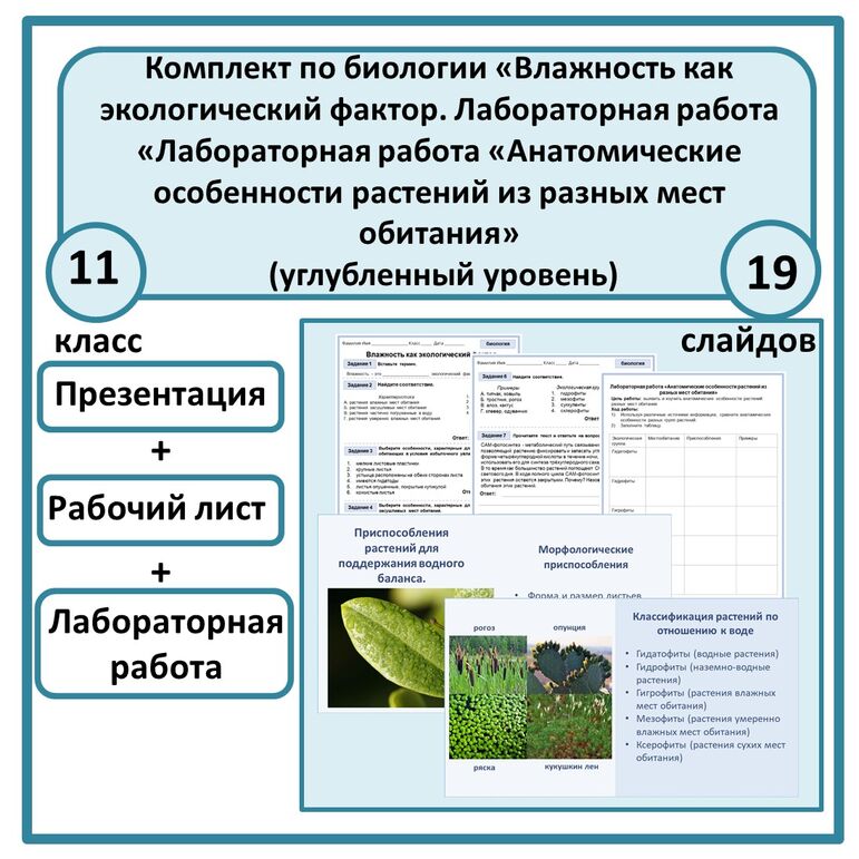 Комплект по биологии (презентация + рабочий лист + лабораторная работа ...