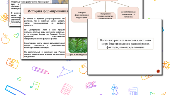 Обложка материала