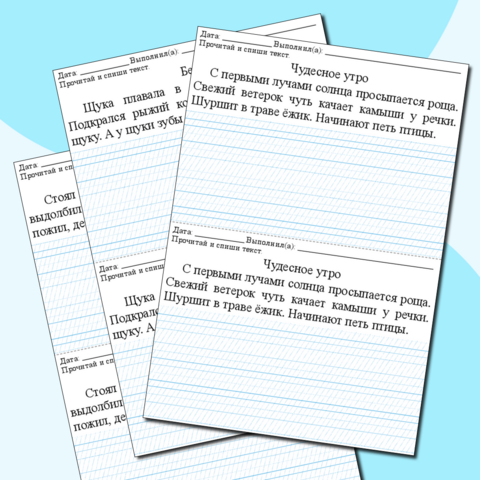 Списывание текста (20-30 слов), 1 класс. 10 карточек с разлиновкой в частую косую