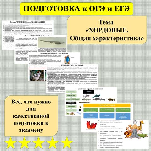 Презентация 