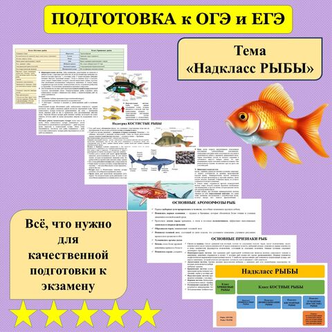 Презентация 