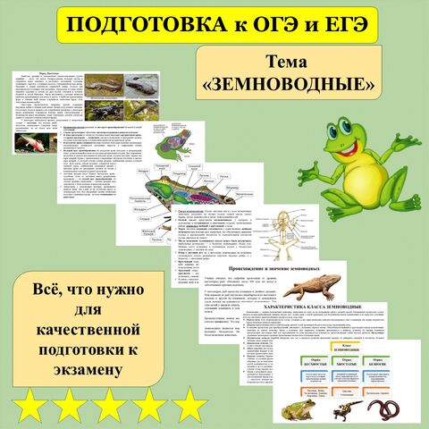 Презентация 