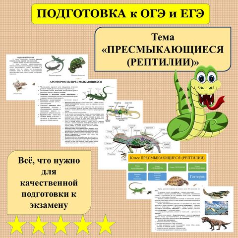 Презентация 