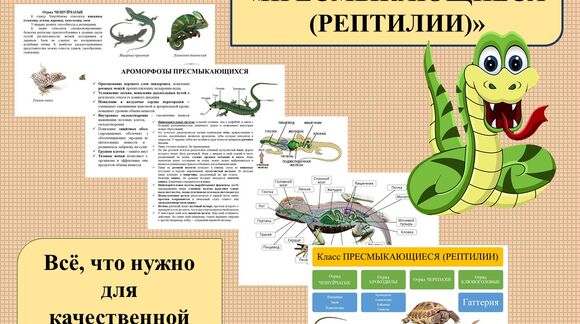 Обложка материала