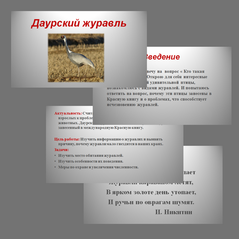 Презентация на тему 