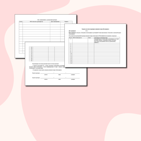 Справка по итогам проверки внешнего вида обучающихся